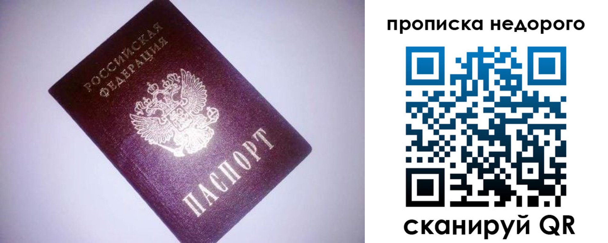 прописка для школы в Петровске